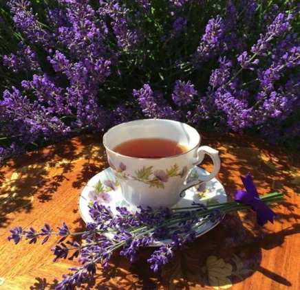 Lavendar Tea